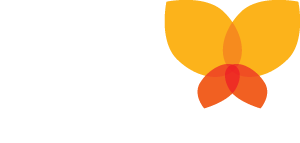 alis logo